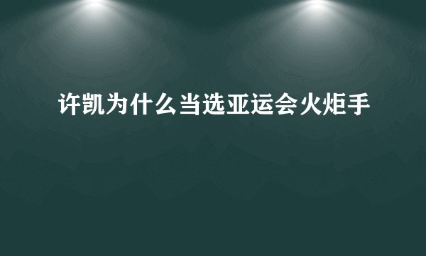 许凯为什么当选亚运会火炬手