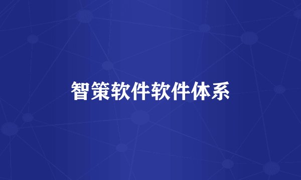 智策软件软件体系
