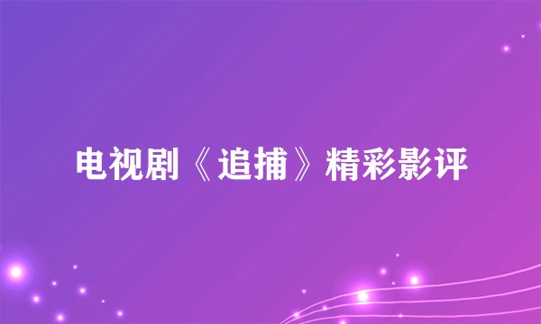 电视剧《追捕》精彩影评