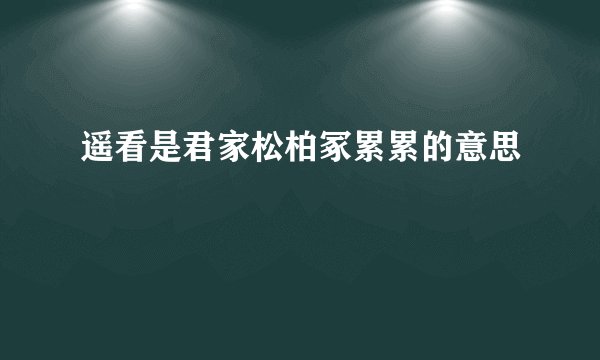 遥看是君家松柏冢累累的意思