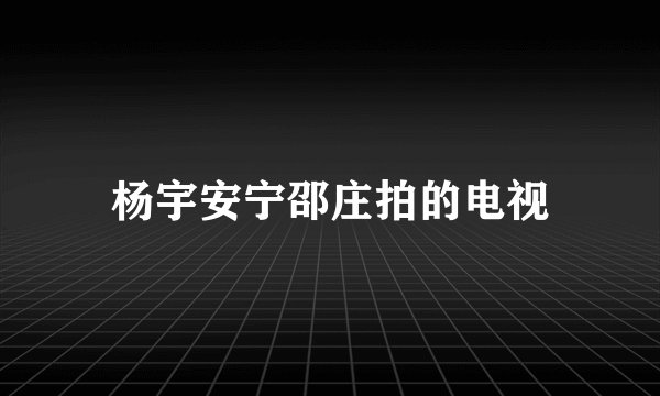 杨宇安宁邵庄拍的电视