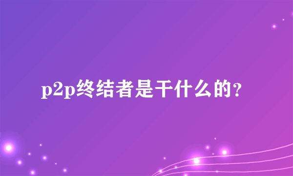 p2p终结者是干什么的？