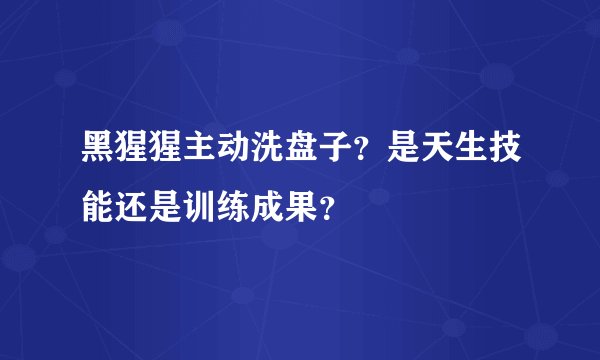 黑猩猩主动洗盘子？是天生技能还是训练成果？