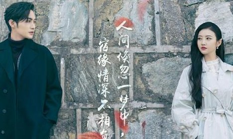 《司藤》讲了什么故事？司藤的身世如何？