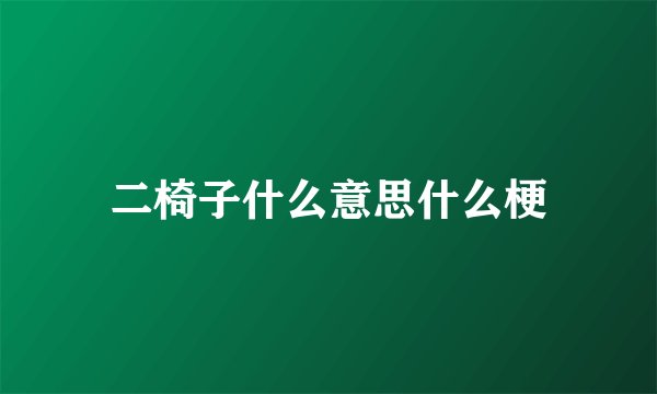 二椅子什么意思什么梗