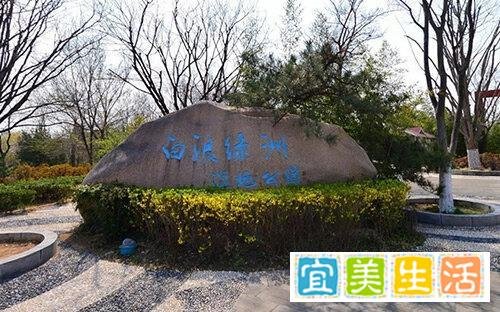 潍坊市白浪绿洲湿地公园旅游攻略