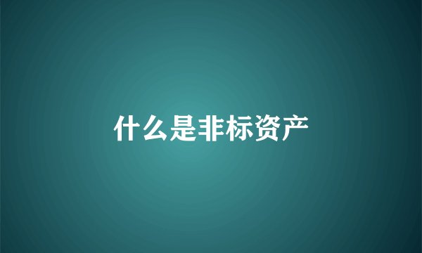 什么是非标资产