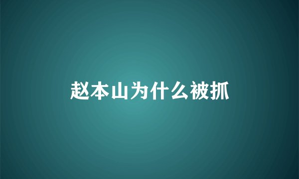赵本山为什么被抓