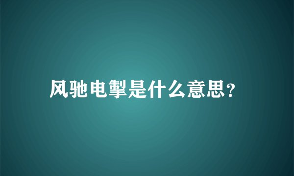 风驰电掣是什么意思？