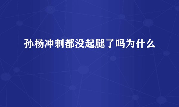 孙杨冲刺都没起腿了吗为什么