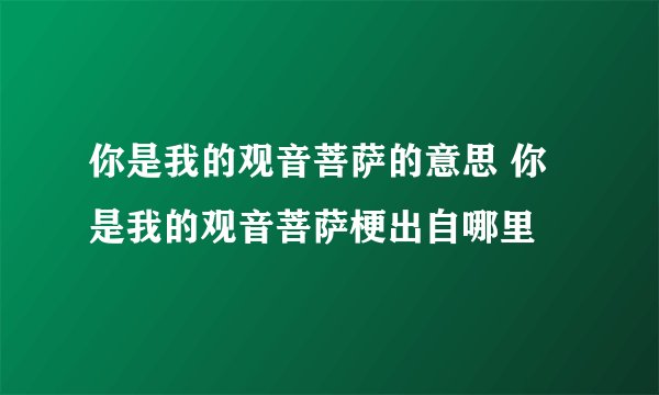 你是我的观音菩萨的意思 你是我的观音菩萨梗出自哪里