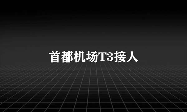 首都机场T3接人