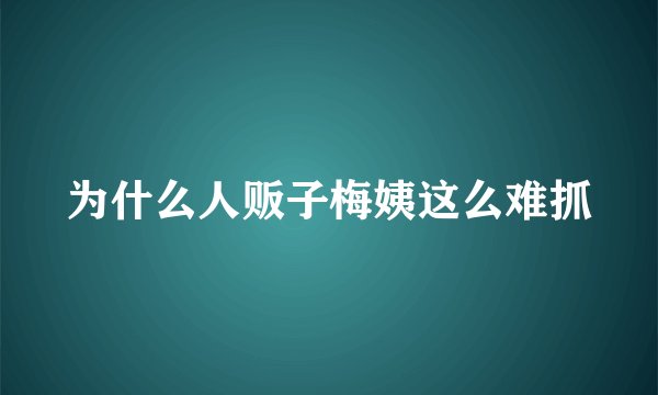 为什么人贩子梅姨这么难抓