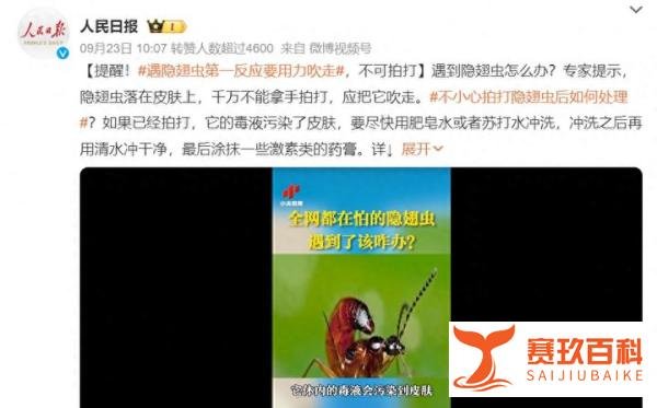 人民日报发文提醒!遇到“隐翅虫”第一反应要用力吹走,不可拍打