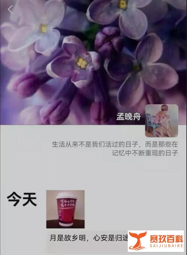 孟晚舟回国的消息,在热搜刷屏!孟晚舟脚上的电子镣铐已解除!画面曝光......
