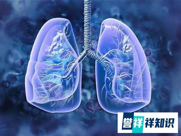 男子扫墓后发烧竟因吸入霉菌:咳嗽不止、胸痛发烧。