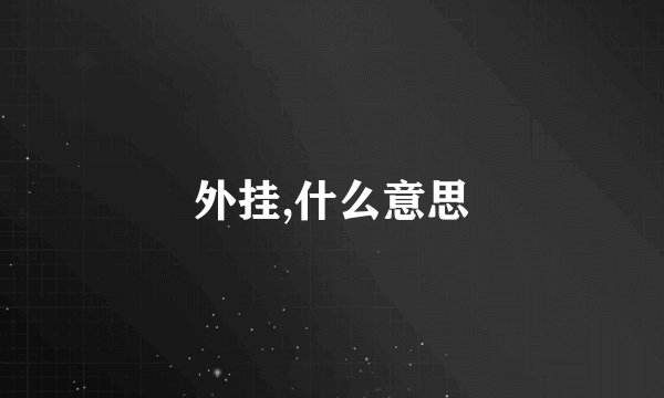 外挂,什么意思