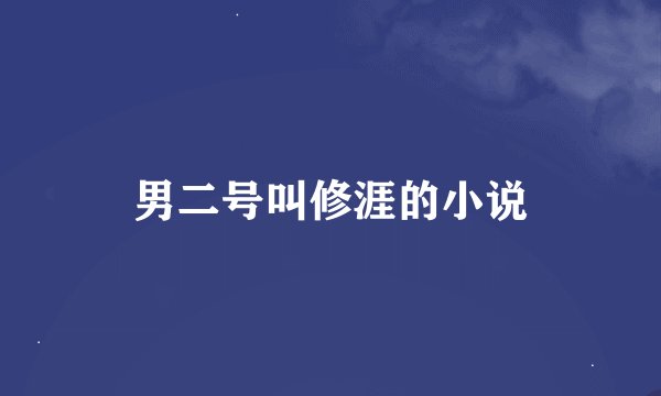 男二号叫修涯的小说