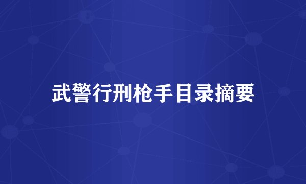 武警行刑枪手目录摘要