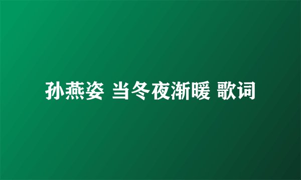 孙燕姿 当冬夜渐暖 歌词