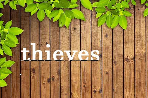 thieves是什么意思