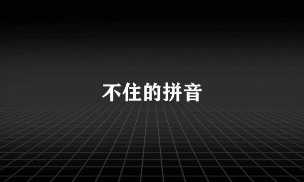 不住的拼音