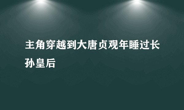 主角穿越到大唐贞观年睡过长孙皇后