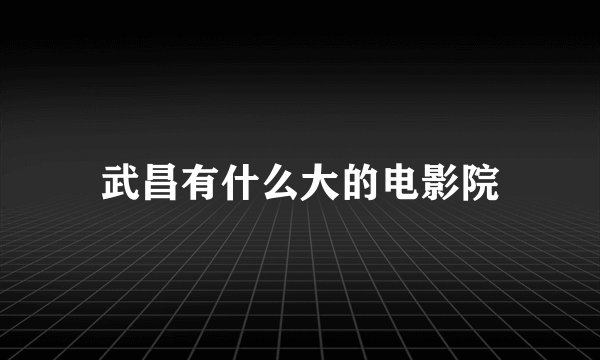 武昌有什么大的电影院