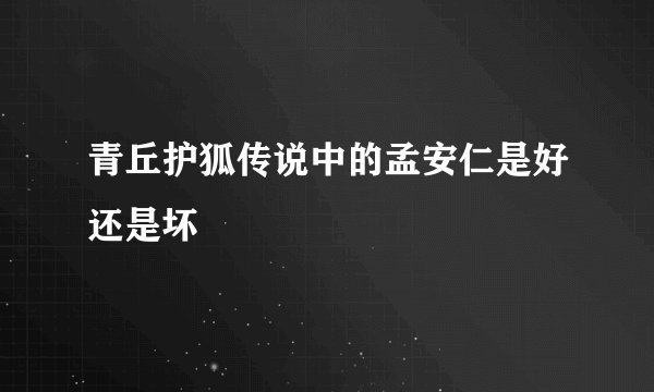 青丘护狐传说中的孟安仁是好还是坏