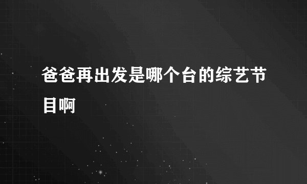 爸爸再出发是哪个台的综艺节目啊