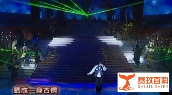 2015:从周杰伦春晚《龙拳》看猴年春晚