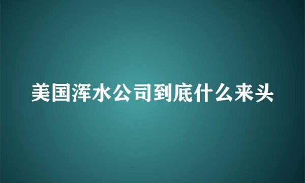 美国浑水公司到底什么来头
