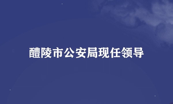 醴陵市公安局现任领导