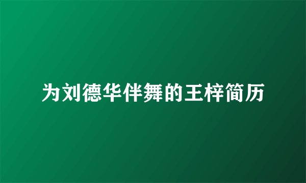 为刘德华伴舞的王梓简历