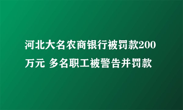 河北大名农商银行被罚款200万元 多名职工被警告并罚款