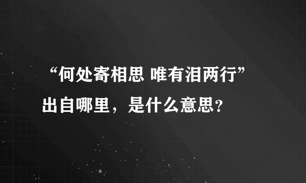 “何处寄相思 唯有泪两行”出自哪里，是什么意思？