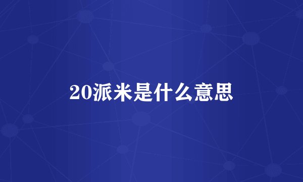20派米是什么意思
