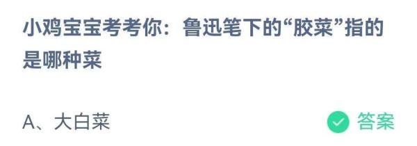 蚂蚁庄园问题：鲁迅笔下的“胶菜”指的是哪种菜？