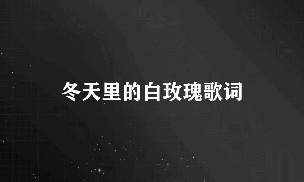 冬天里的白玫瑰歌词