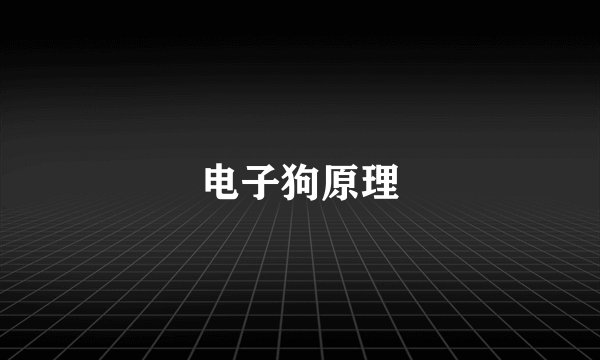 电子狗原理