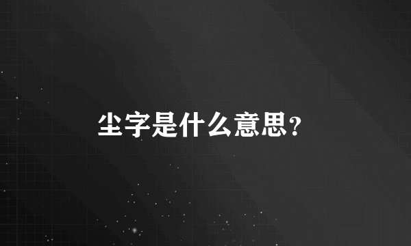 尘字是什么意思？