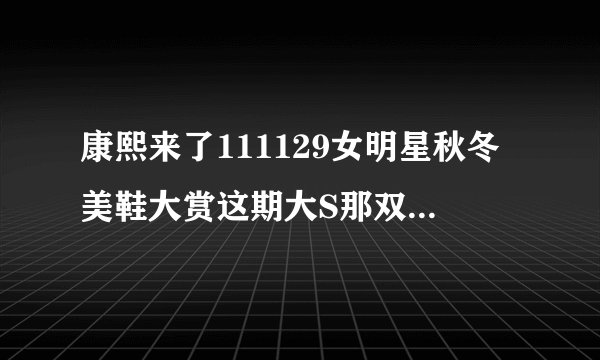 康熙来了111129女明星秋冬美鞋大赏这期大S那双金色铆钉蓝色底的高跟是什么牌子的？