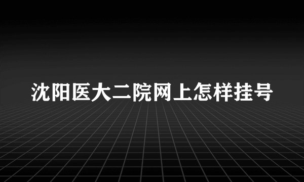 沈阳医大二院网上怎样挂号
