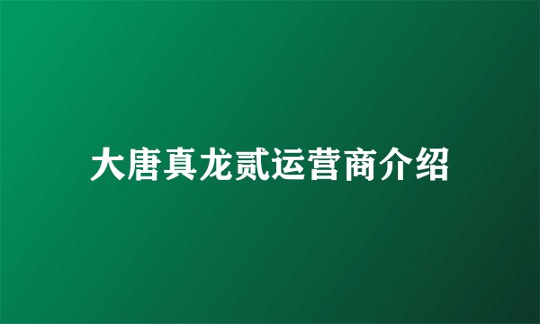 大唐真龙贰运营商介绍