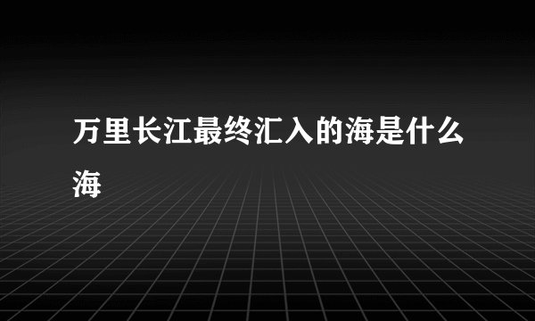 万里长江最终汇入的海是什么海