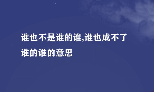 谁也不是谁的谁,谁也成不了谁的谁的意思