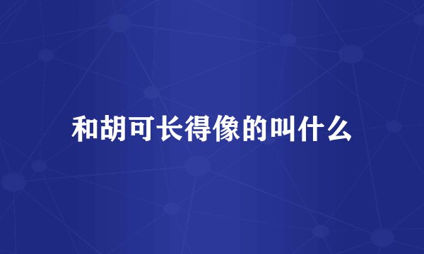 和胡可长得像的叫什么