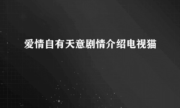 爱情自有天意剧情介绍电视猫