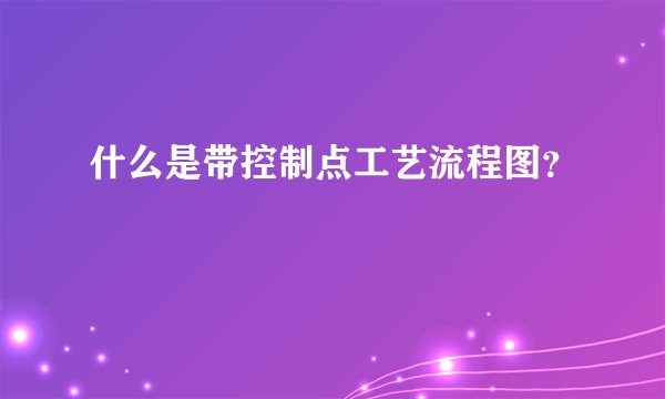 什么是带控制点工艺流程图？