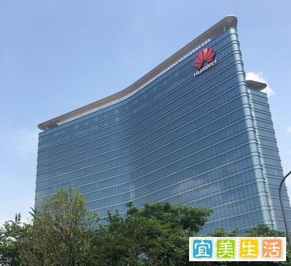 孟晚舟：我一直想低调，却如此“高调”的被大家认识